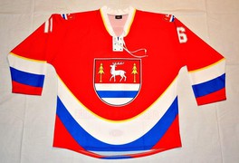 Hokejové mužstvo Pusté Kamenice vstupuje do AHL Polička - foto č. 1