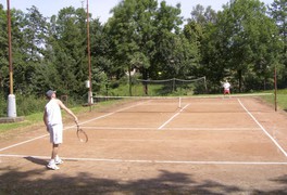 Turnaj v tenise 2009 - foto č. 3