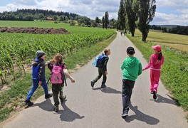 Turistický výlet s dětmi na Březiny 2018 - foto č. 4