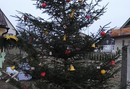 Rozsvícení vánočního stromečku - foto č. 1
