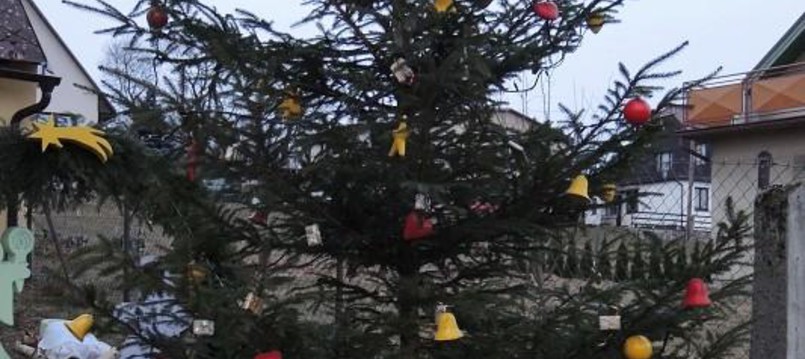 Rozsvícení vánočního stromečku