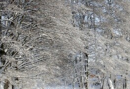 Zima 2019 v Pusté Kamenici - foto č. 2