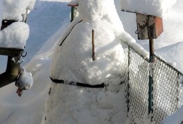 Zima 2019 v Pusté Kamenici - foto č. 20