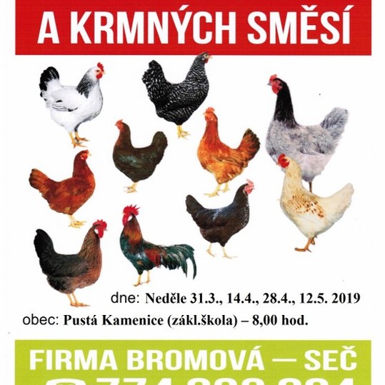 Prodej chovných kuřic v Pusté Kamenici dne 31.3.2019