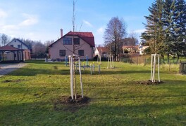 Výsadba stromů v intravilánu obce Pustá Kamenice - foto č. 14