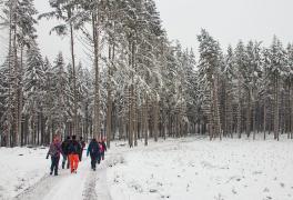 Předvánoční turistický výlet do Sněžného - foto č. 13