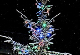 Rozsvícení vánočního stromečku - foto č. 3