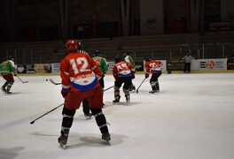 MHL Litomyšl - HC Pustá Kamenice: HC Makov 3:5 - foto č. 4