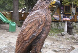 Turistický zájezd - Vysoké Tatry 2010 - foto č. 41