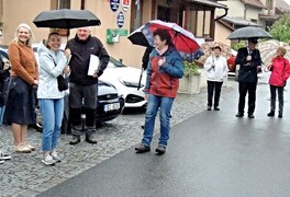 Pustokamenický Hápův javor byl vybrán mezi 10 finalistů ankety Strom roku 2025 - foto č. 1