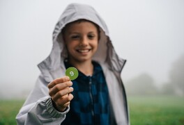 Hlasování v anketě Strom roku 2025 se blíží ke svému konci - foto č. 17