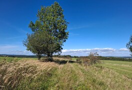 Cykloturistický výlet - Vítkovská vrchovina - foto č. 53