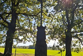Cykloturistický výlet - Vítkovská vrchovina - foto č. 59