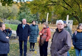 Hápův javor se v anketě Strom roku 2025 umístil na 5. místě - foto č. 11