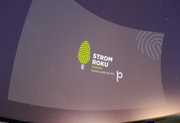 Hápův javor se v anketě Strom roku 2025 umístil na 5. místě - foto č. 7