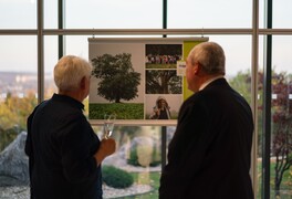 Strom roku 2025 - fotografie ze slavnostního vyhlášení - foto č. 8