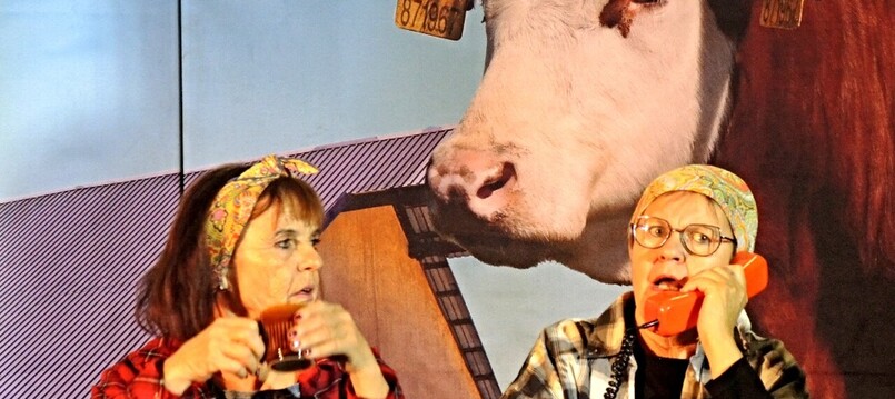 Divadelní představení spolku DU:HA – Bezkontaktní ženy