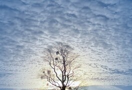 Přání k vánočním svátkům a novému roku - foto č. 1