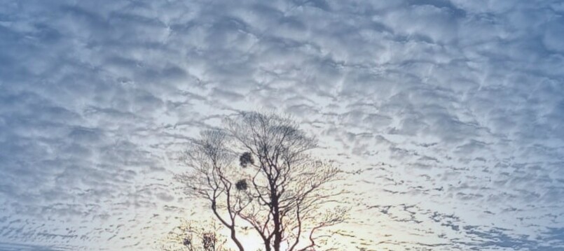 Přání k vánočním svátkům a novému roku