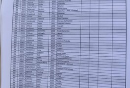 III. kolo Českého poháru v běhu na 100 m s překážkami - Moravský Beroun - foto č. 2