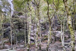 Cykloturistický zájezd České středohoří - foto č. 24