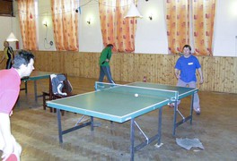 Pustokamenický turnaj ve stolním tenise 2011 - foto č. 11